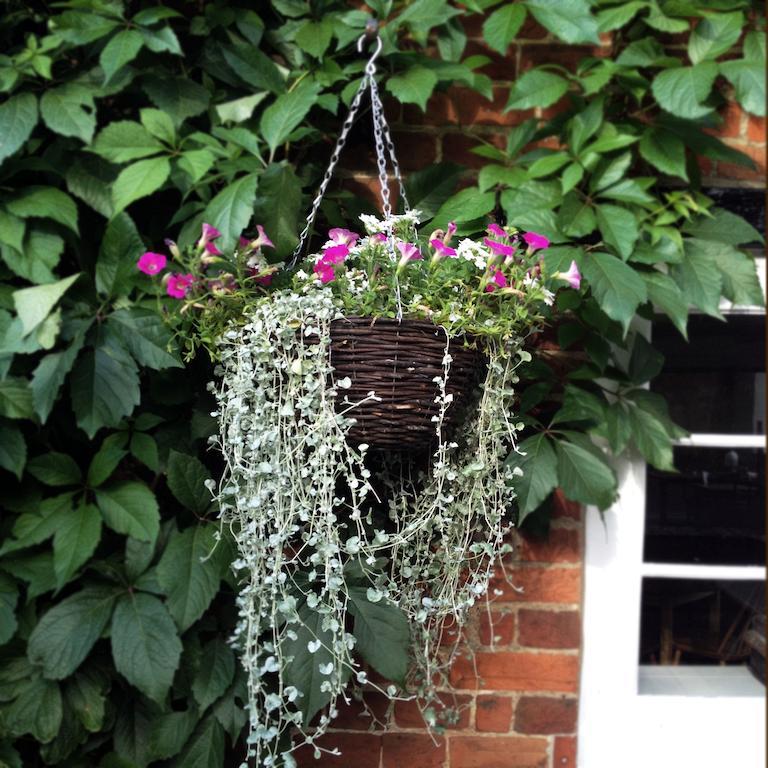 The Hundred Of Ashendon Bed & Breakfast Waddesdon Luaran gambar